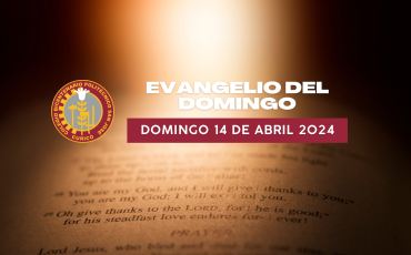 Evangelio domingo 14 de abril 2024