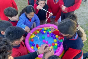 Actividad de vinculación Actividad de vinculación